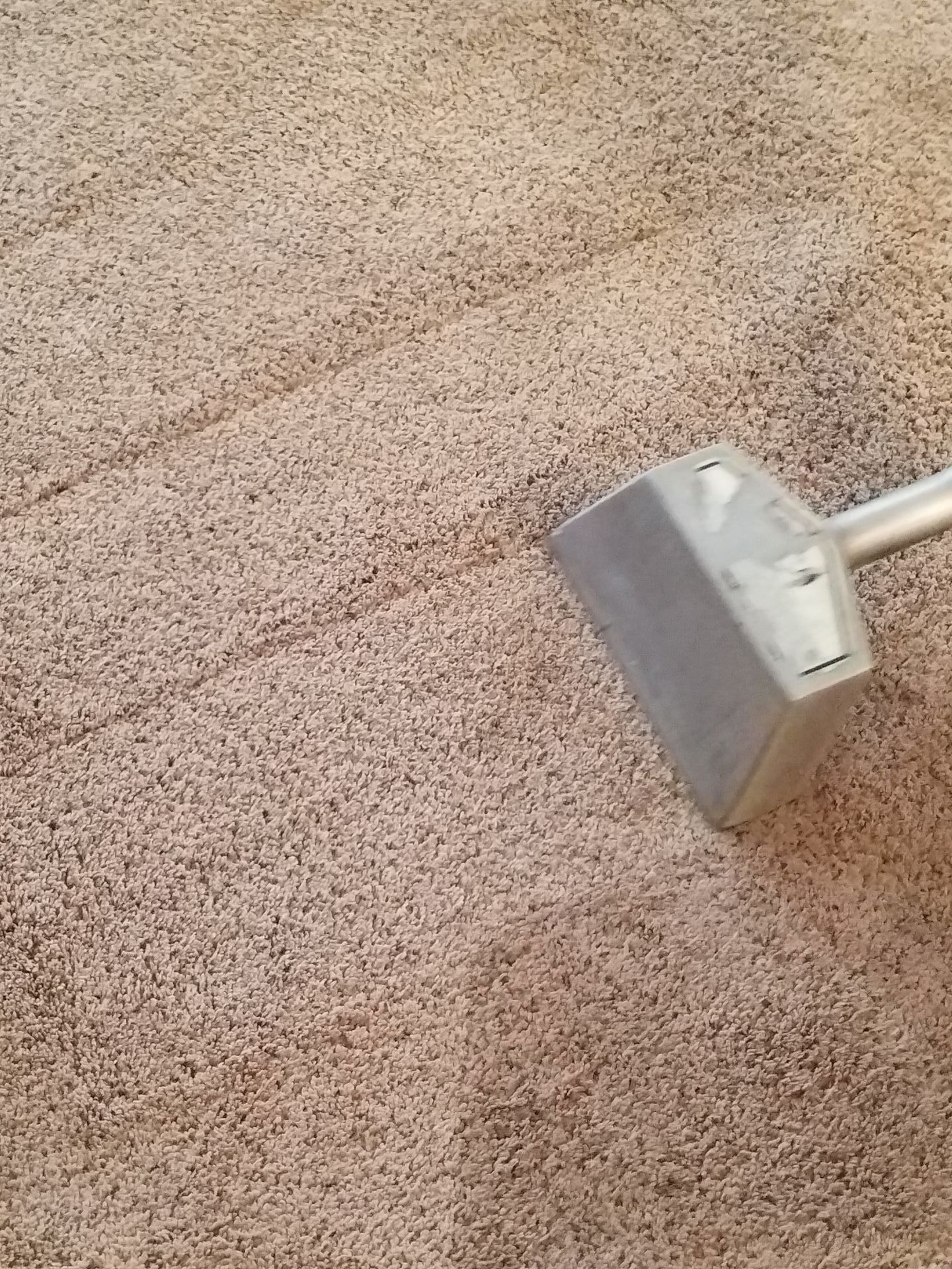 Carpet Cleaning Service