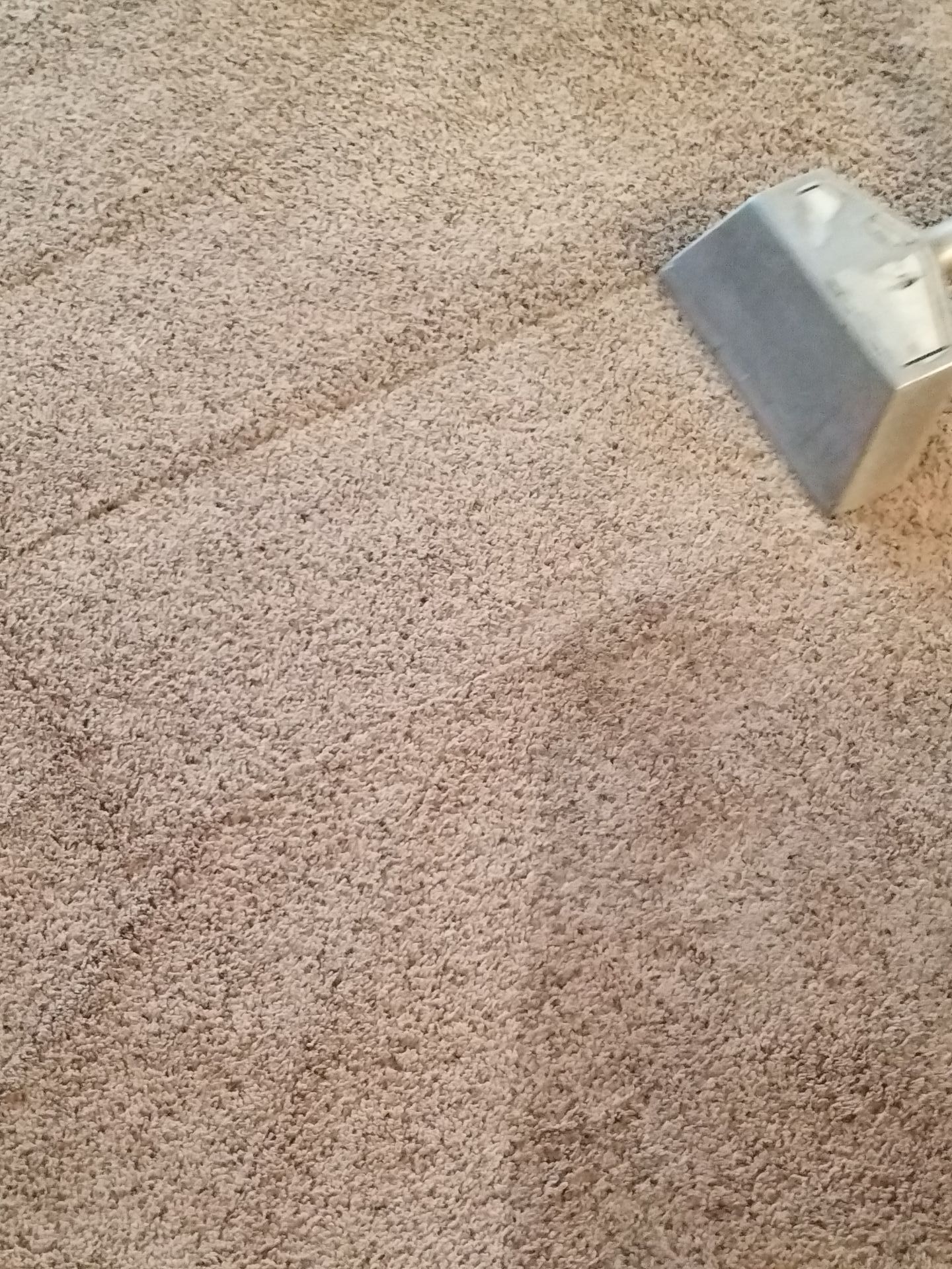 Carpet Cleaning Service