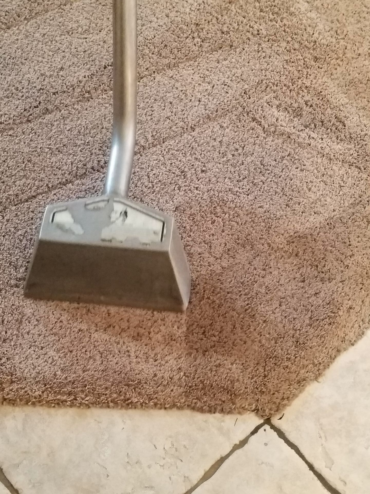 Carpet Cleaning Service
