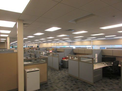 Carpet Cleaning Service