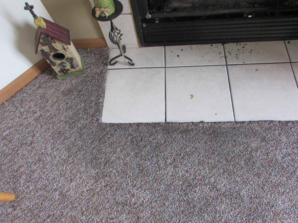 Tile and Grout Cleaning