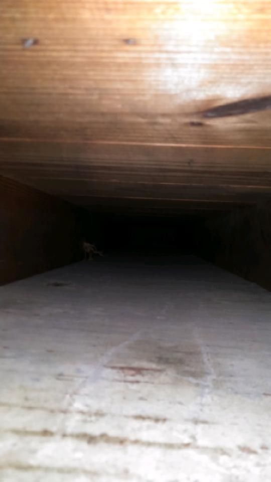 After Air Duct Cleaning