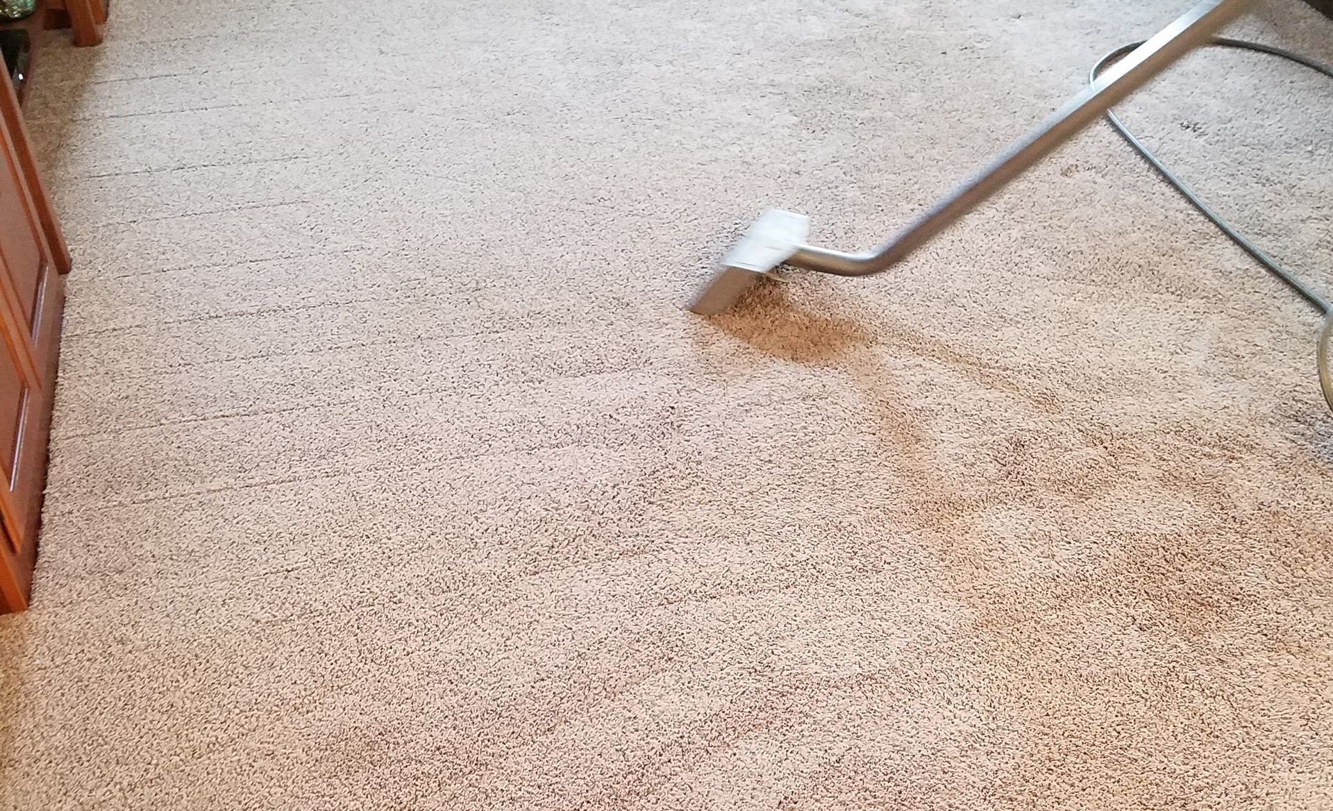 Carpet Cleaning Service