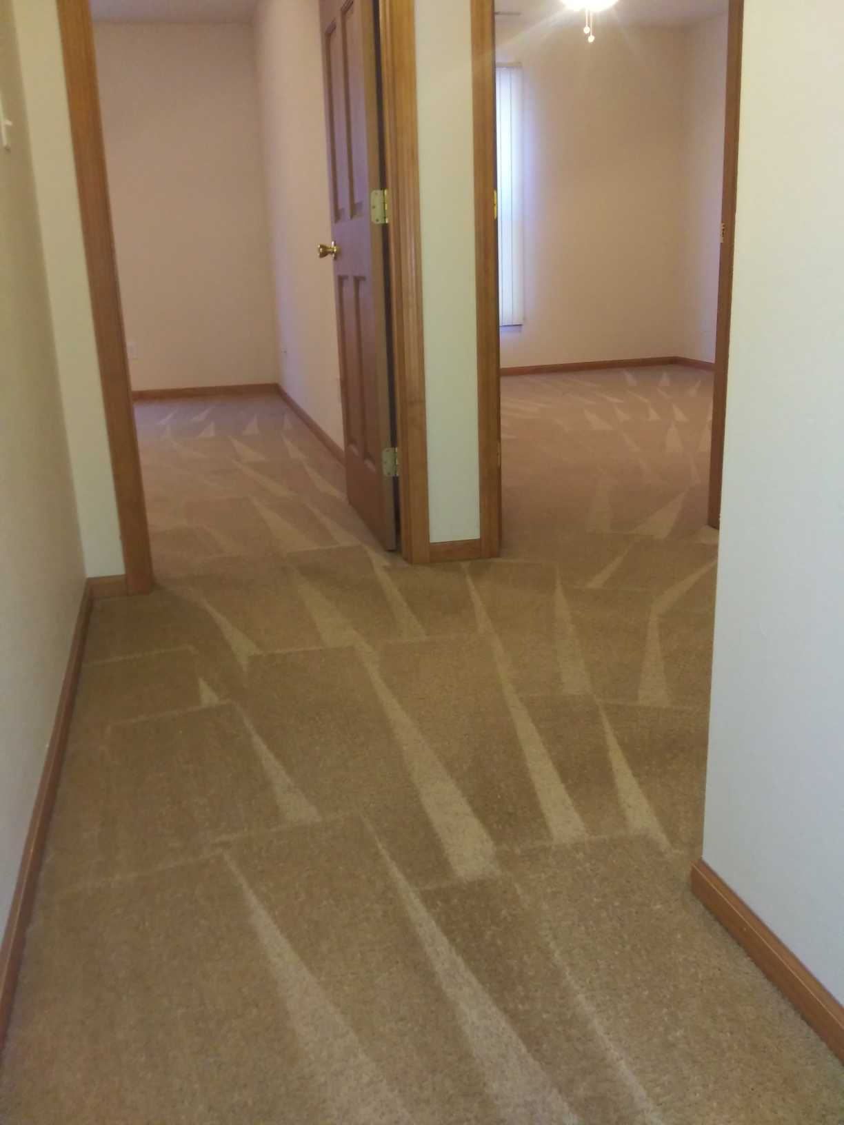 Carpet Cleaning Service