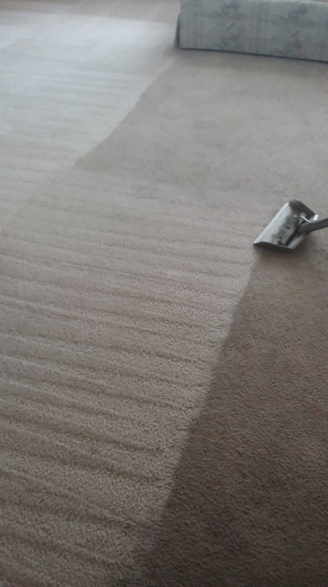 Carpet Cleaning Service