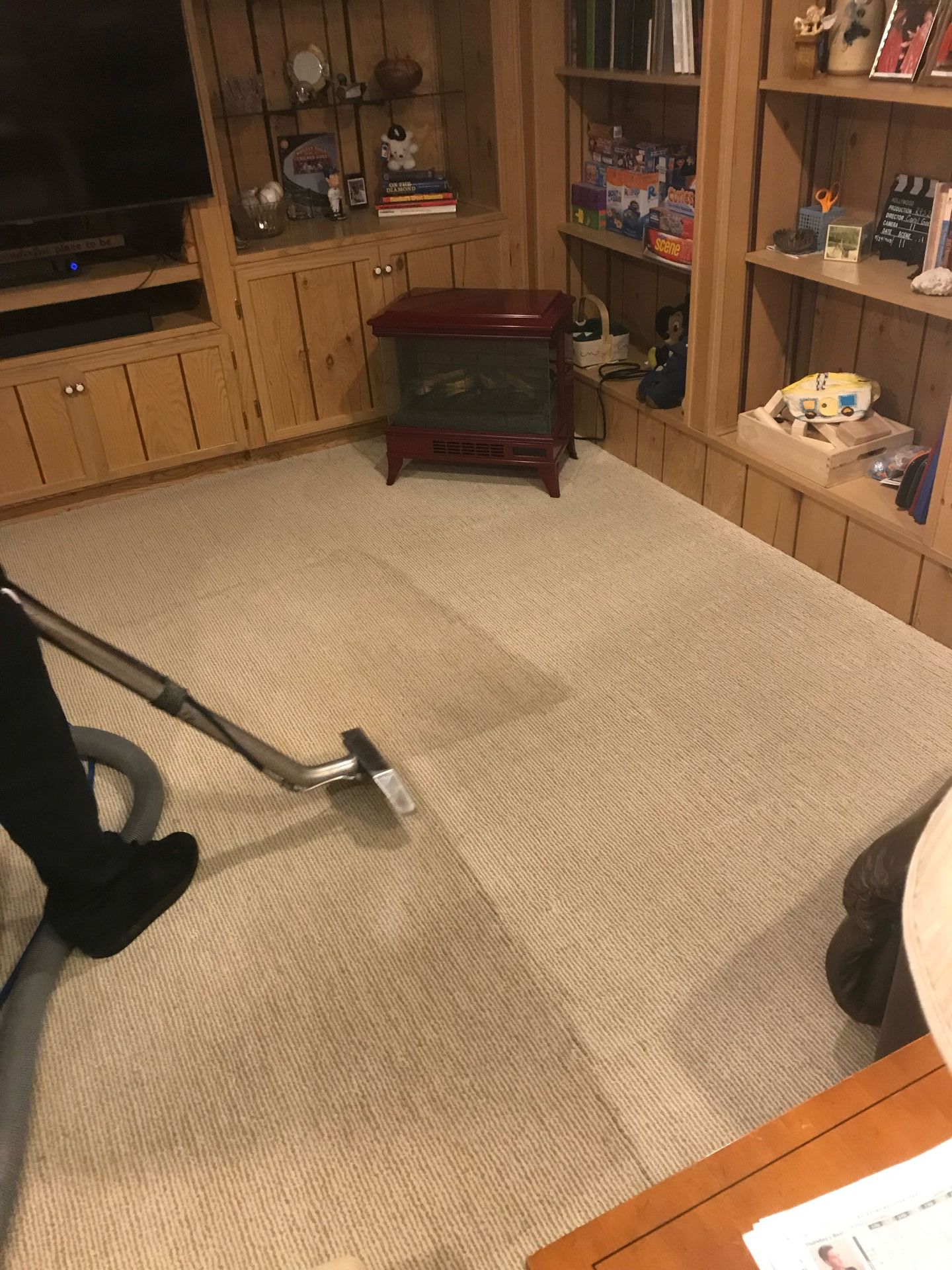 Carpet Cleaning Service