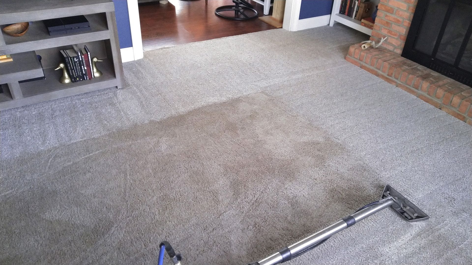 Carpet Cleaning Service