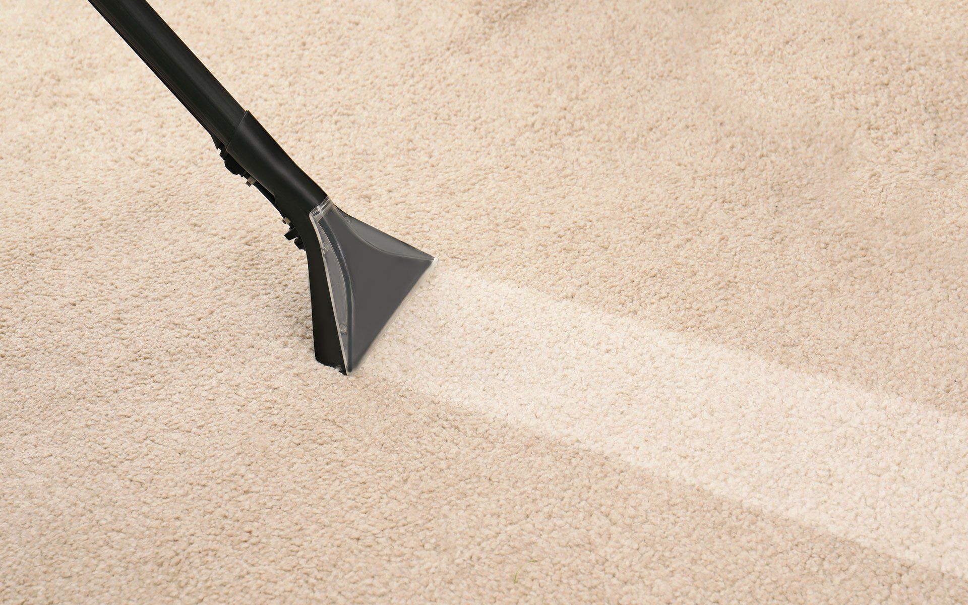 Spotless Carpets