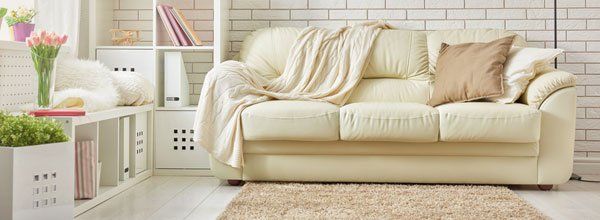 Carpet Cleaning