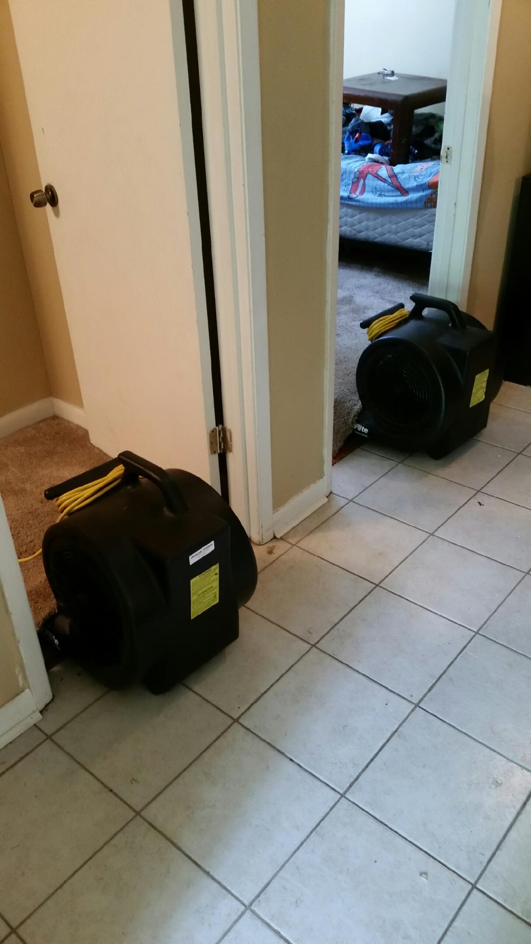 Water removal service