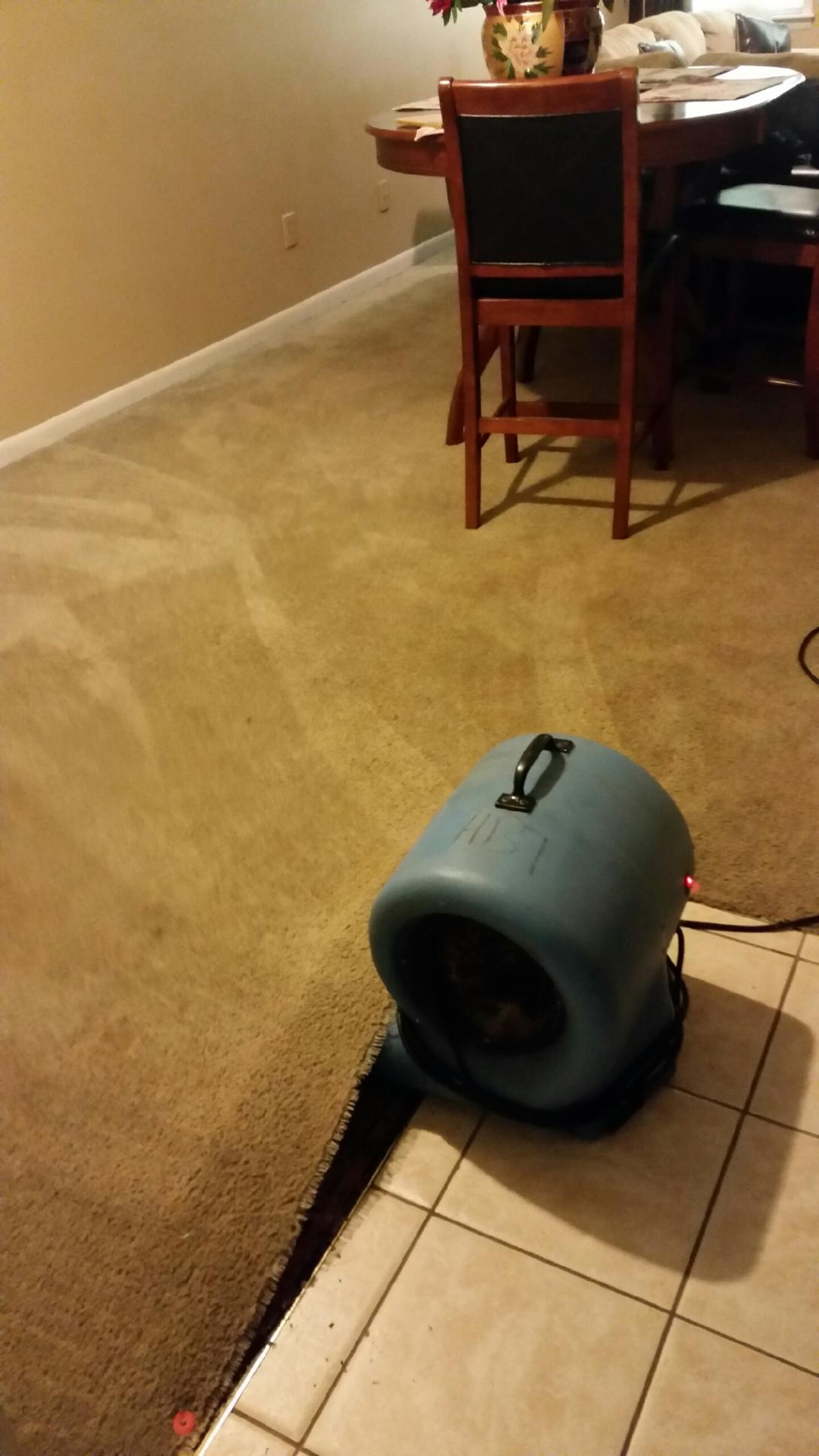 Water removal service