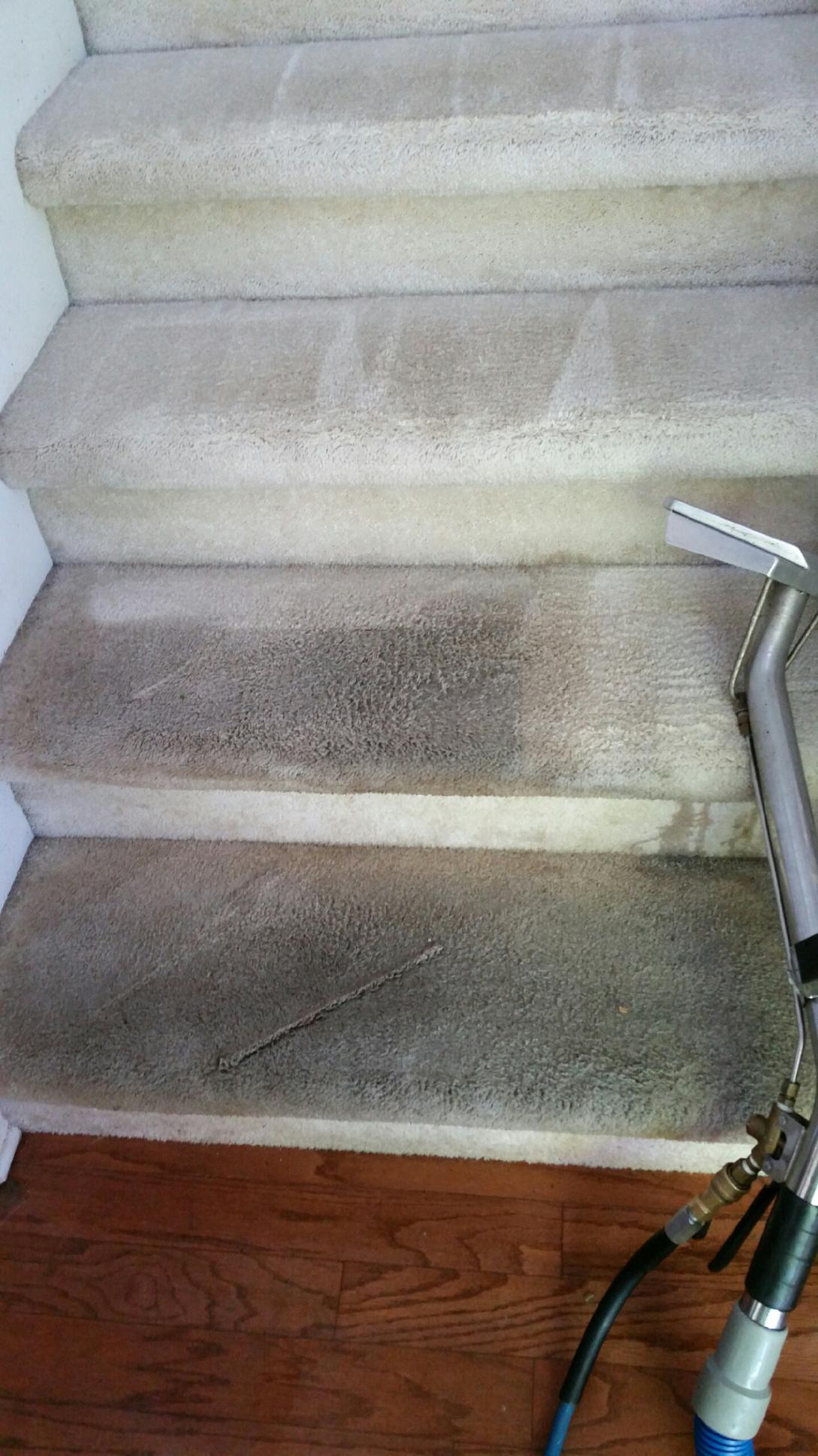 Carpet cleaning