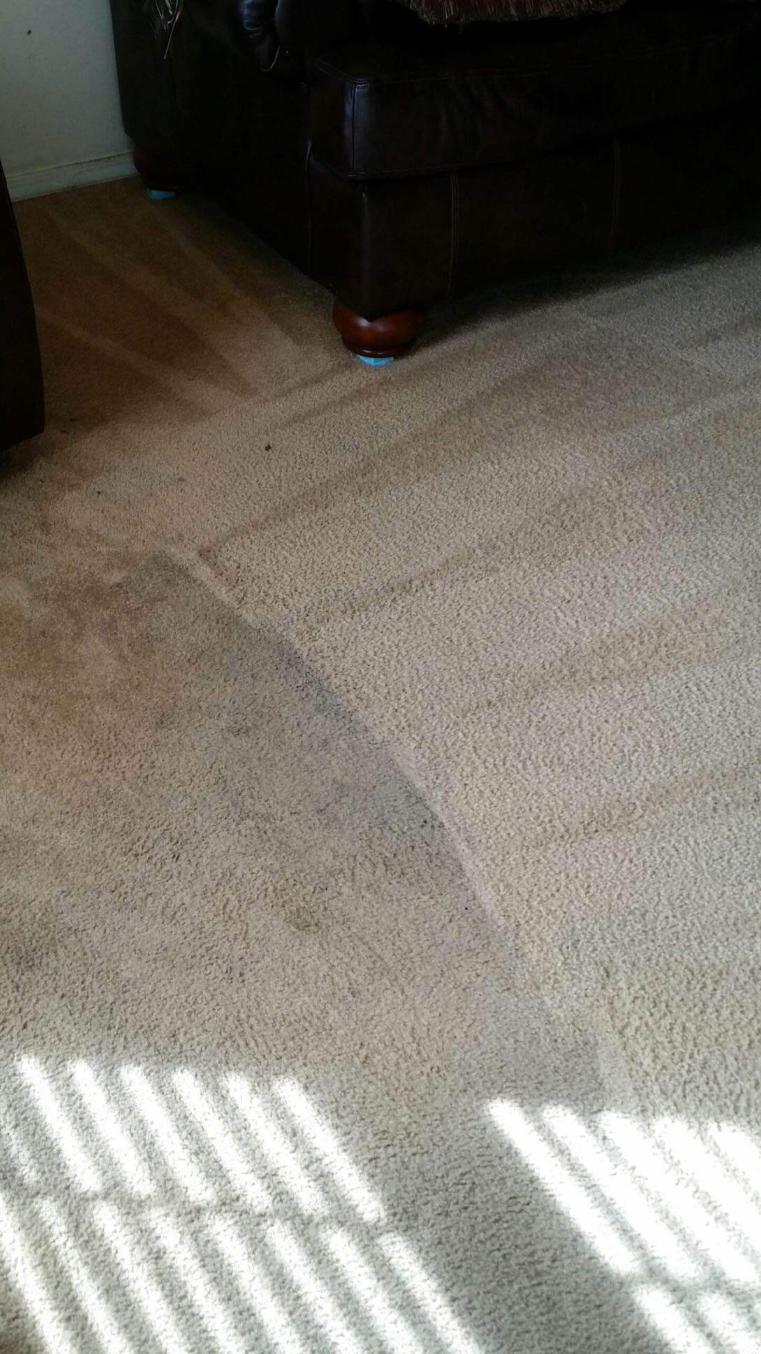Carpet cleaning