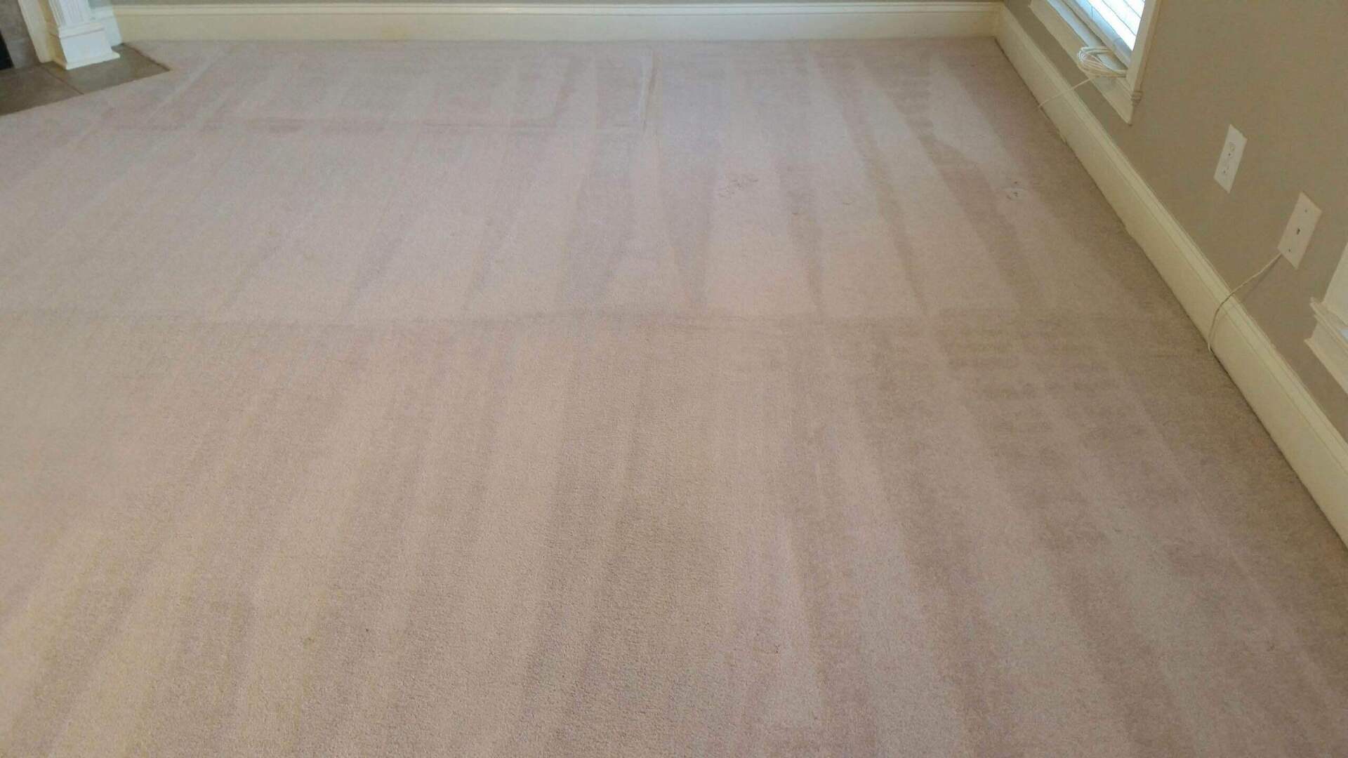Carpet cleaning