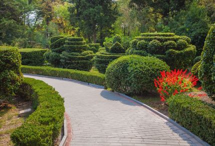 Southern Style Landscape