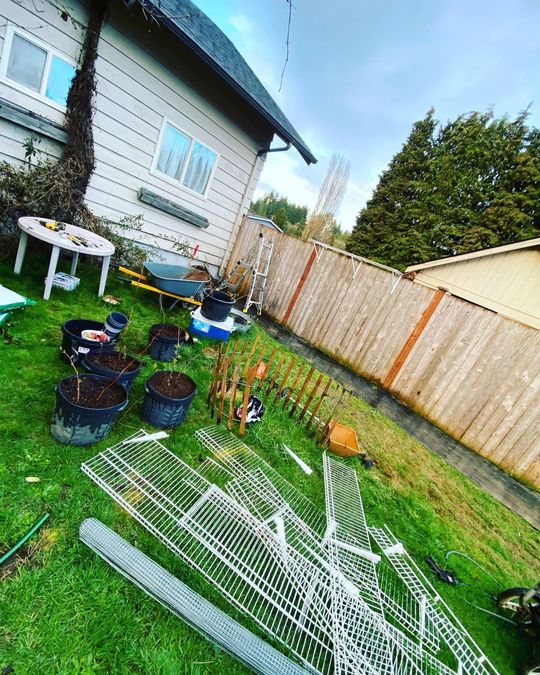 Rain or Shine Lawn Maintenance