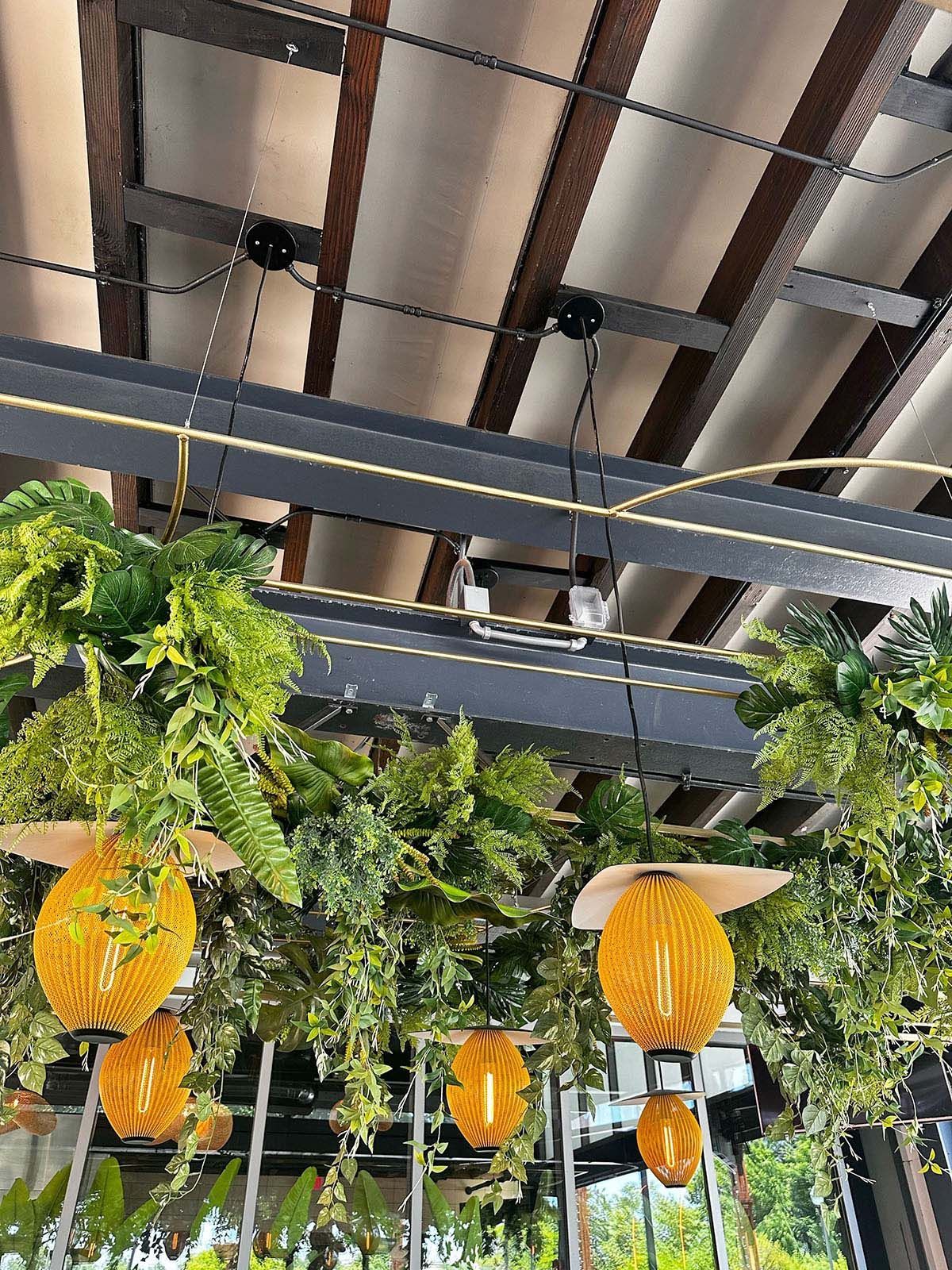 Yellow lanterns hang from a black and brown ceiling