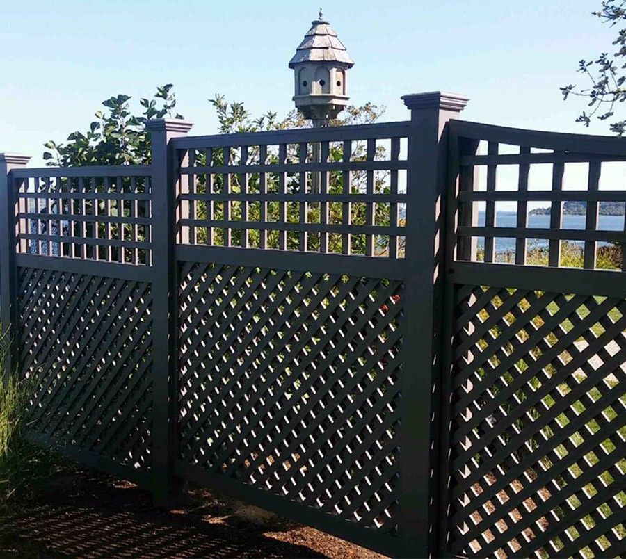 Dark gray wooden fence with lattice sections; birdhouse in background.