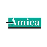 Amica