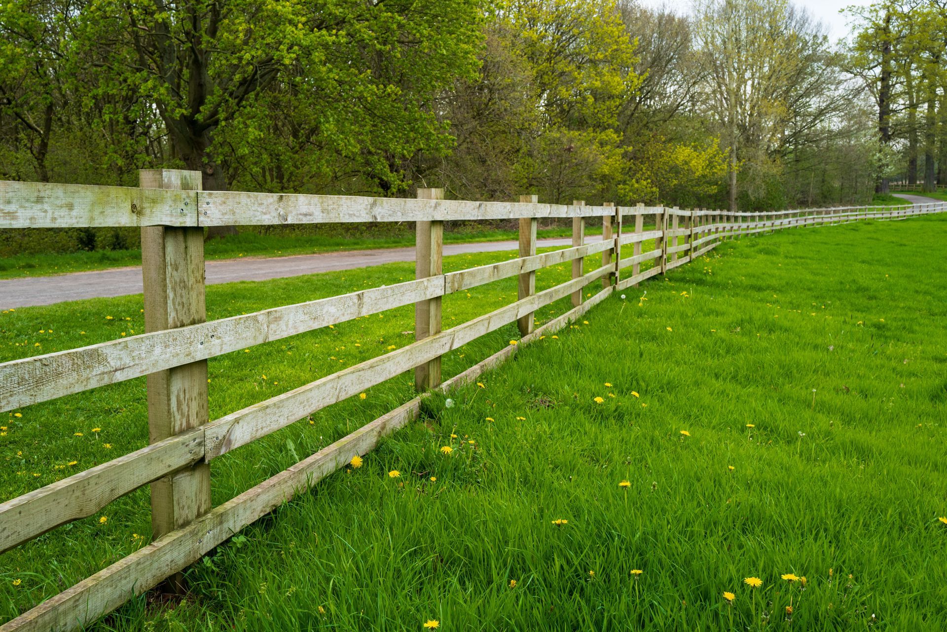 Aaron Fence