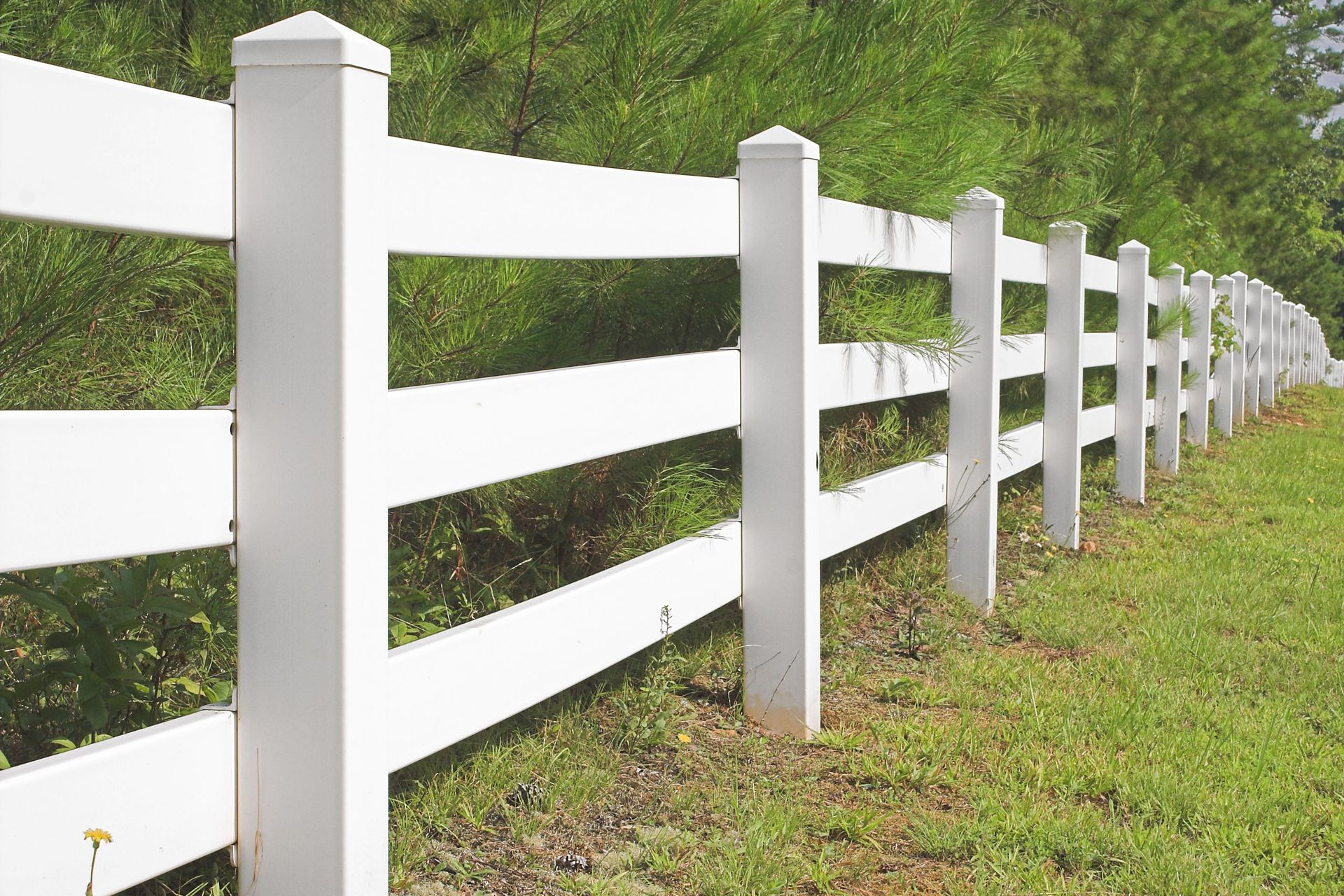 Aaron Fence
