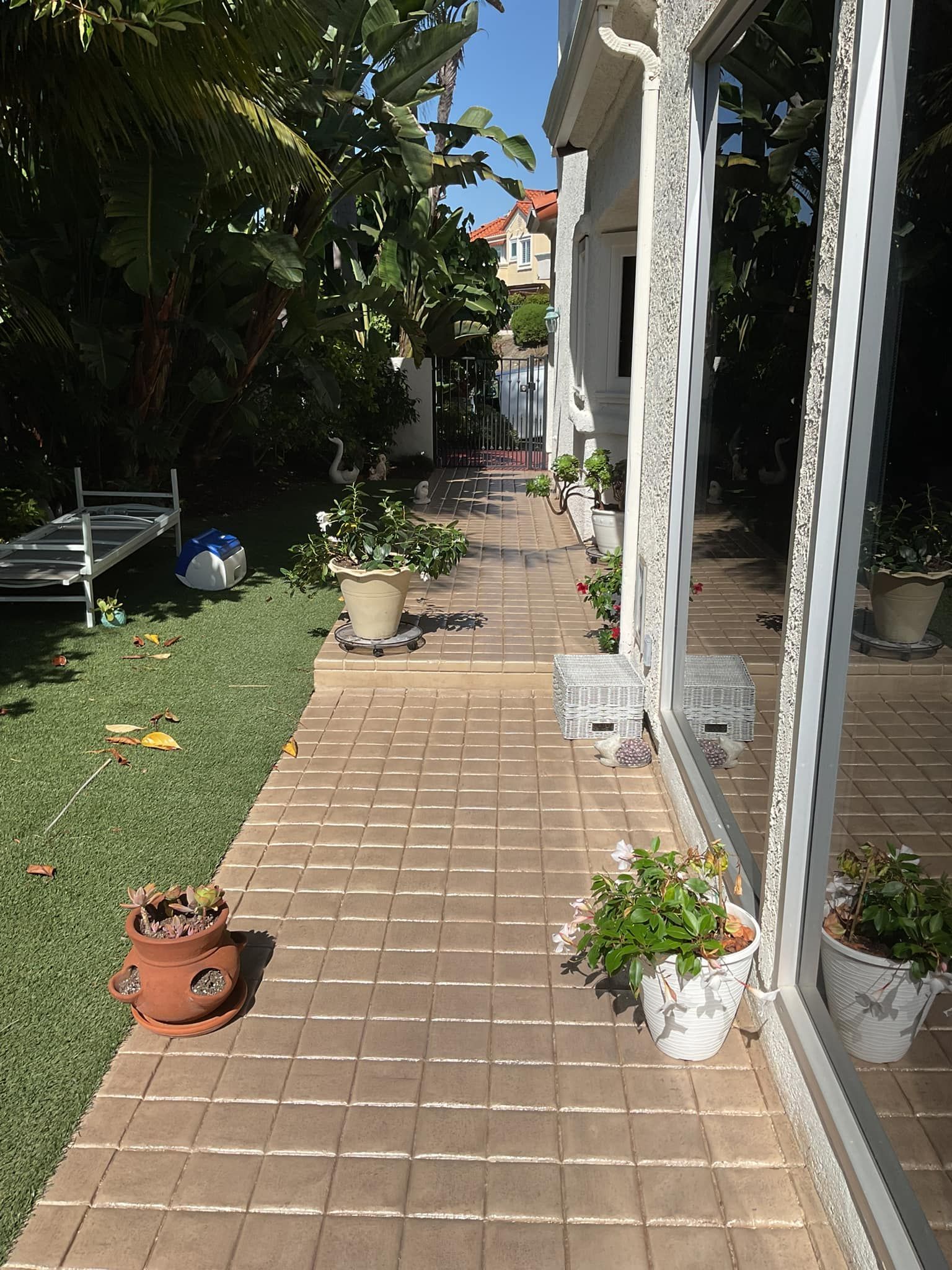 Brick pathway next to a white building with large windows, potted plants, and greenery.