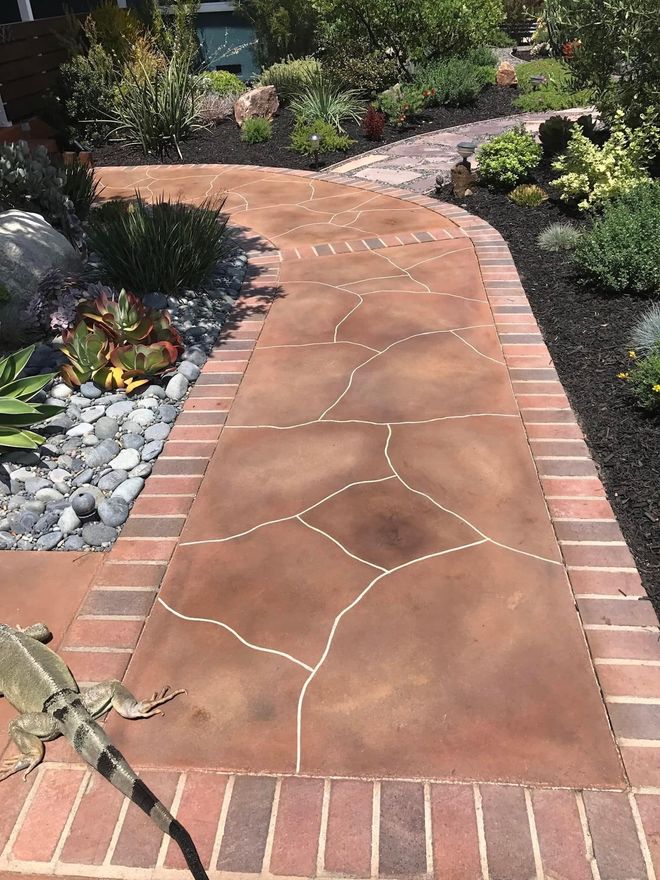 Red-brown paved walkway with brick border, meandering through a garden with plants and rocks; lizard in the foreground.