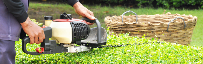 Outdoor Tools & Equipment  Lawn, Garden, Landscaping 