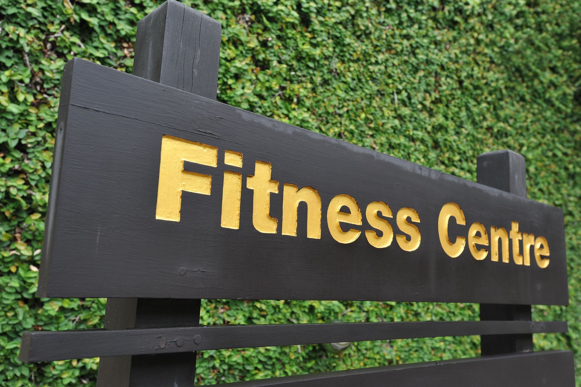 professional sign businesses