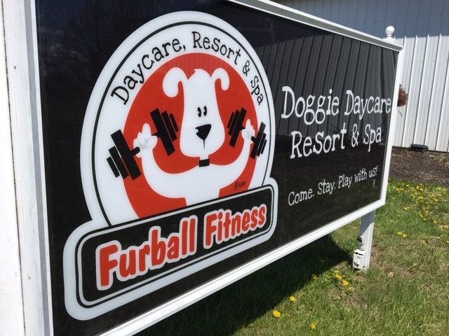 Sign for Doggie Daycare, Resort & Spa: Furball Fitness, with a dog graphic lifting weights.