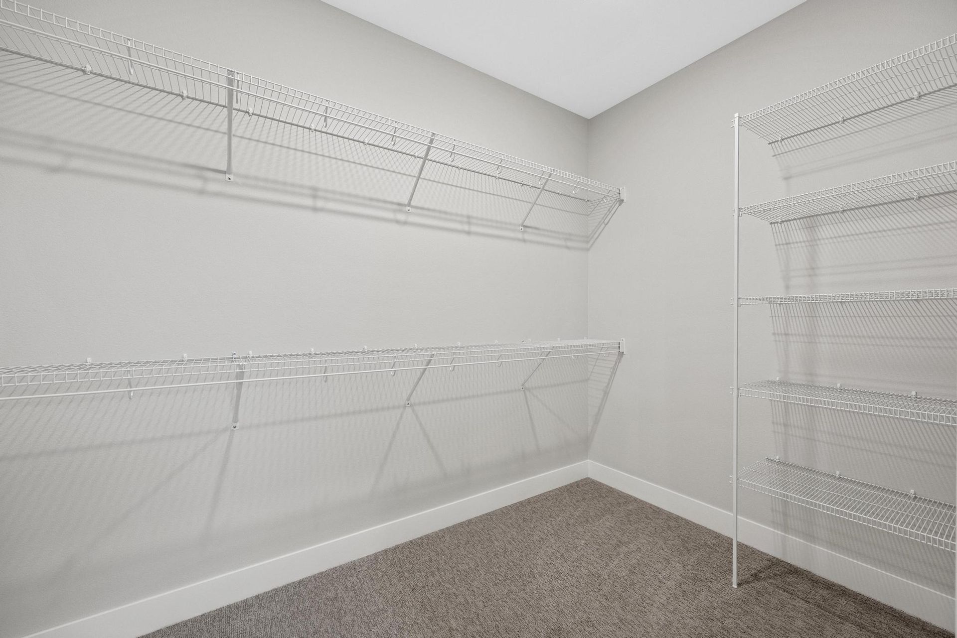 An empty walk in closet with lots of shelves and a carpeted floor.