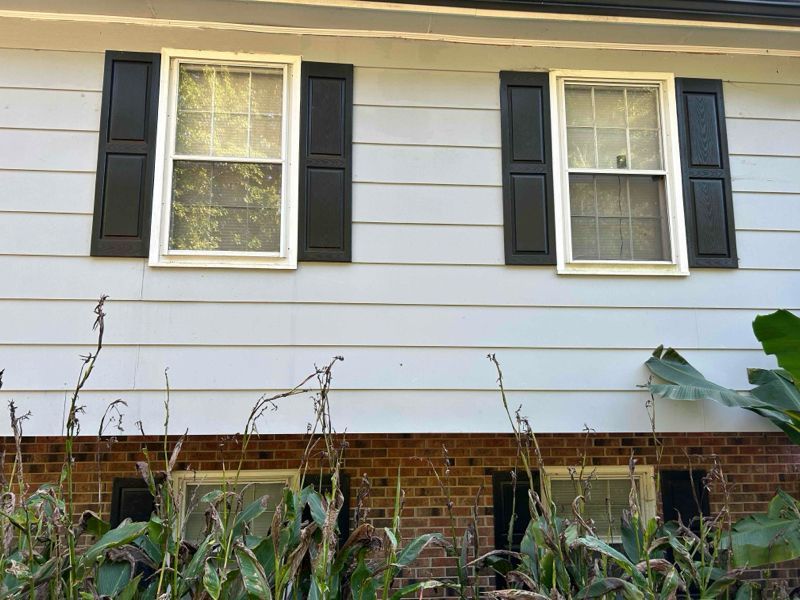 Two white-framed windows with black shutters on a pale-blue wall, over a brick base; some corn stalks are in front.