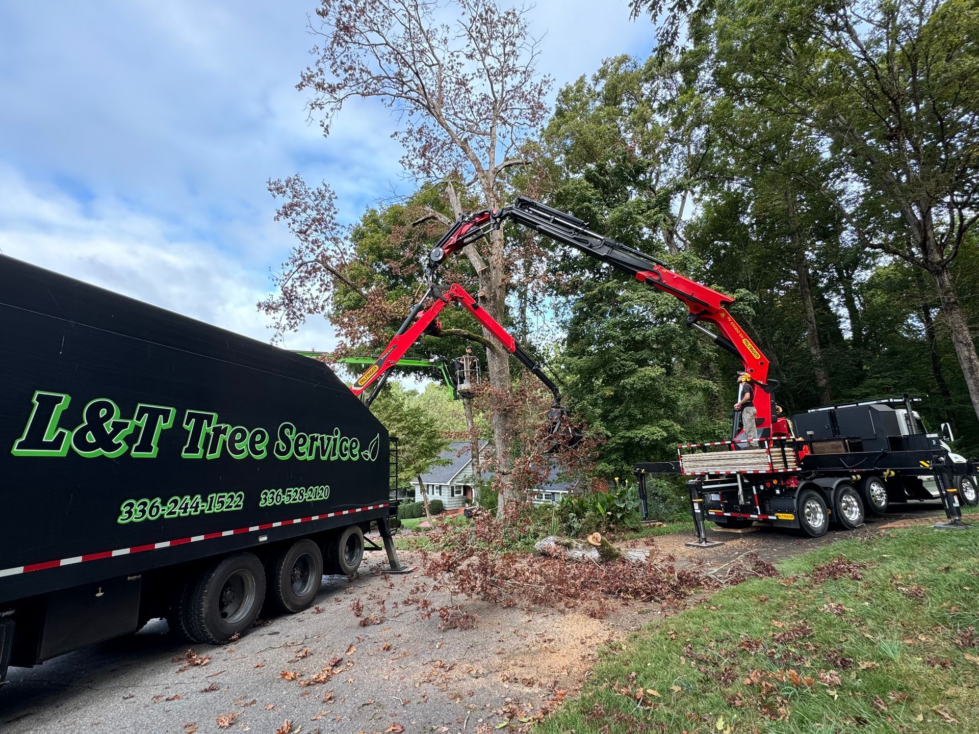 A tree service truck and crane trimming a tree on a residential street. Branches and leaves on the ground.