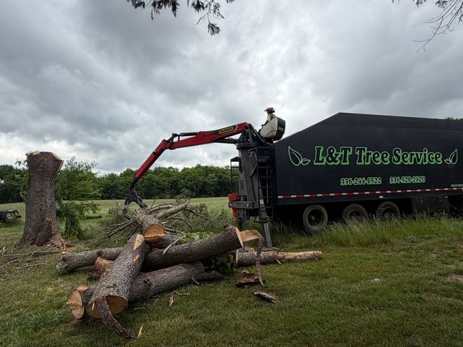 L & T Tree Service