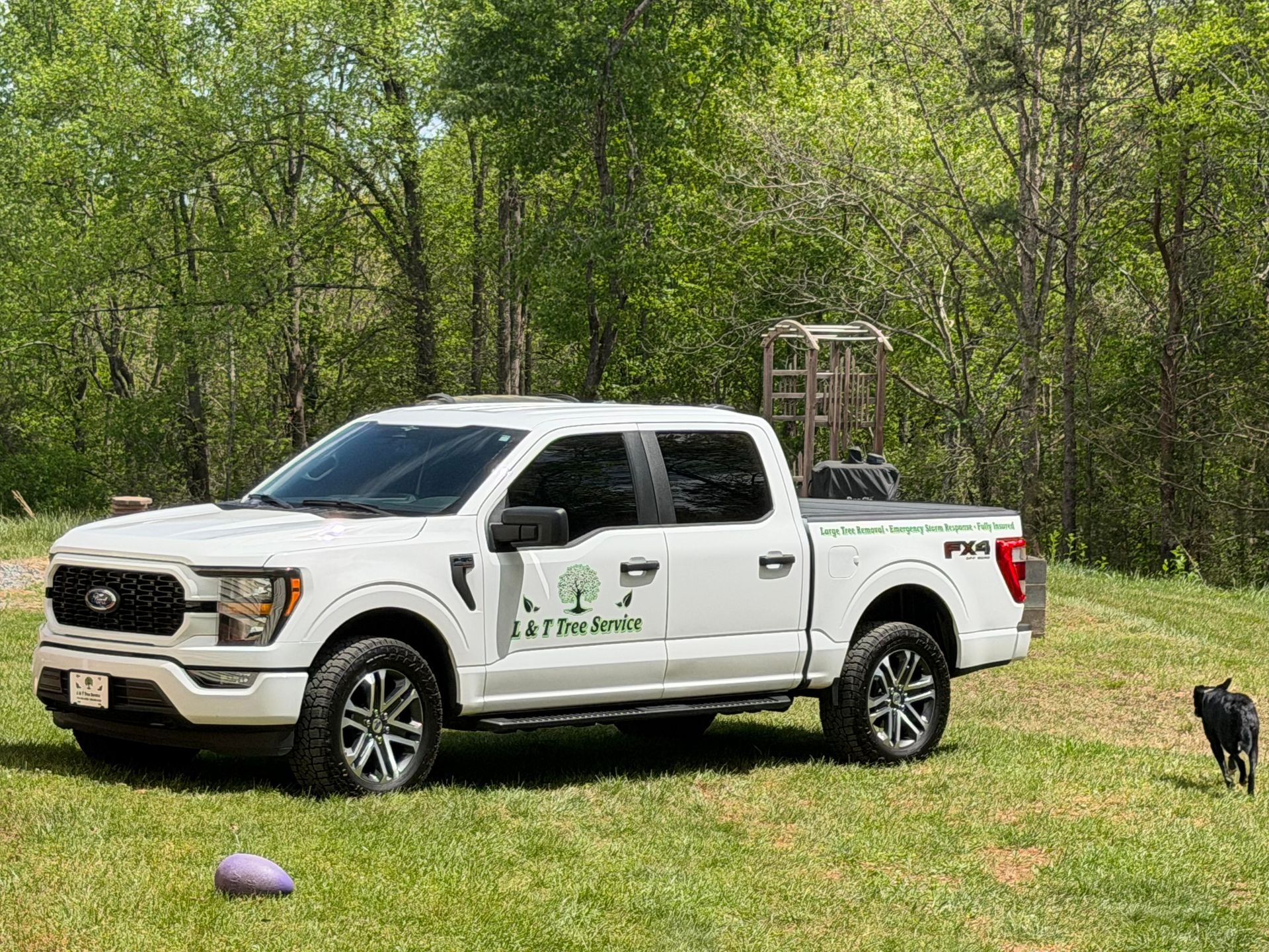 White pickup truck parked on grass in a wooded area, with a small black dog nearby.
