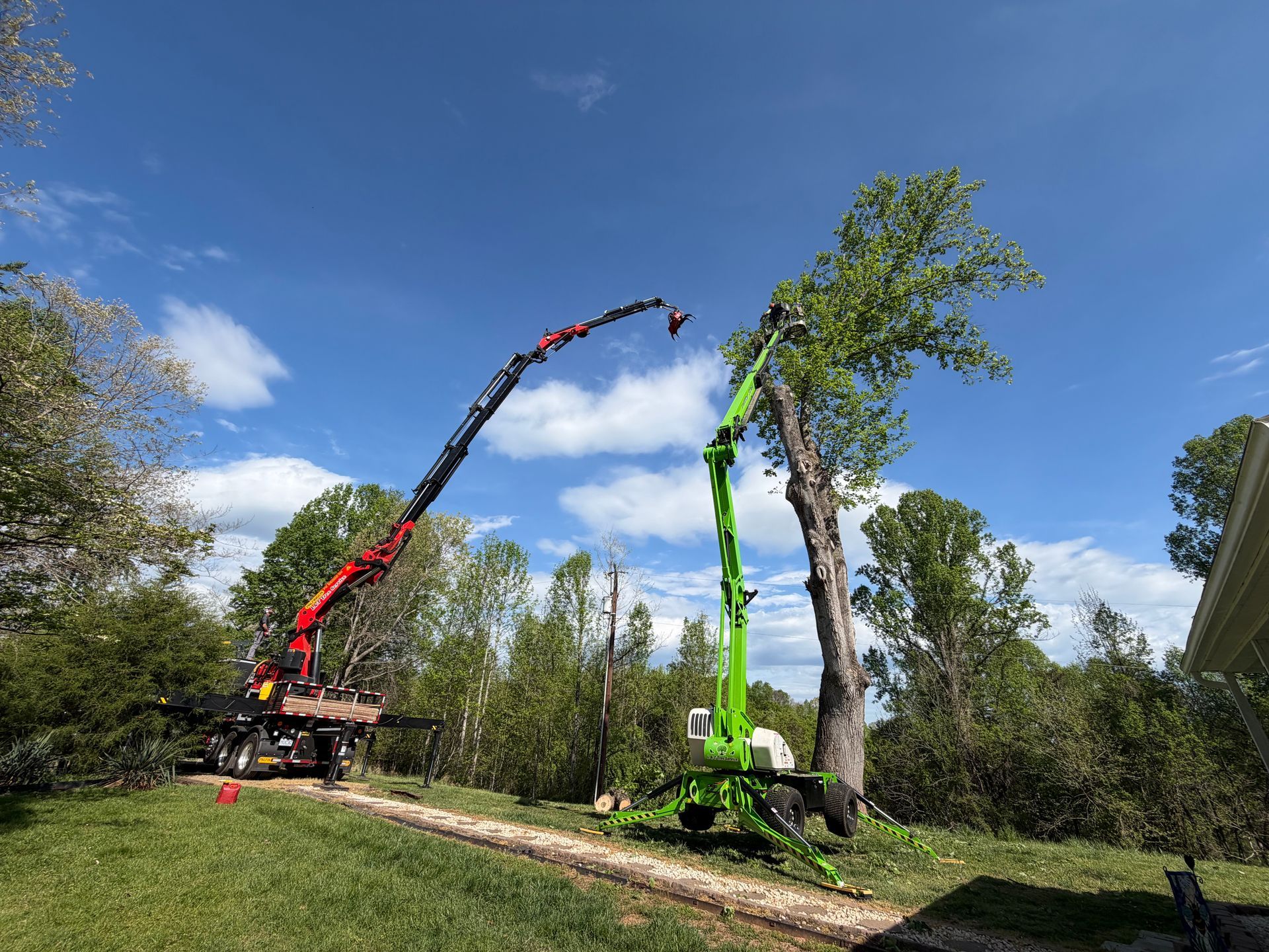 Two cranes extending long booms in a wooded area under a blue sky, lifting or trimming trees