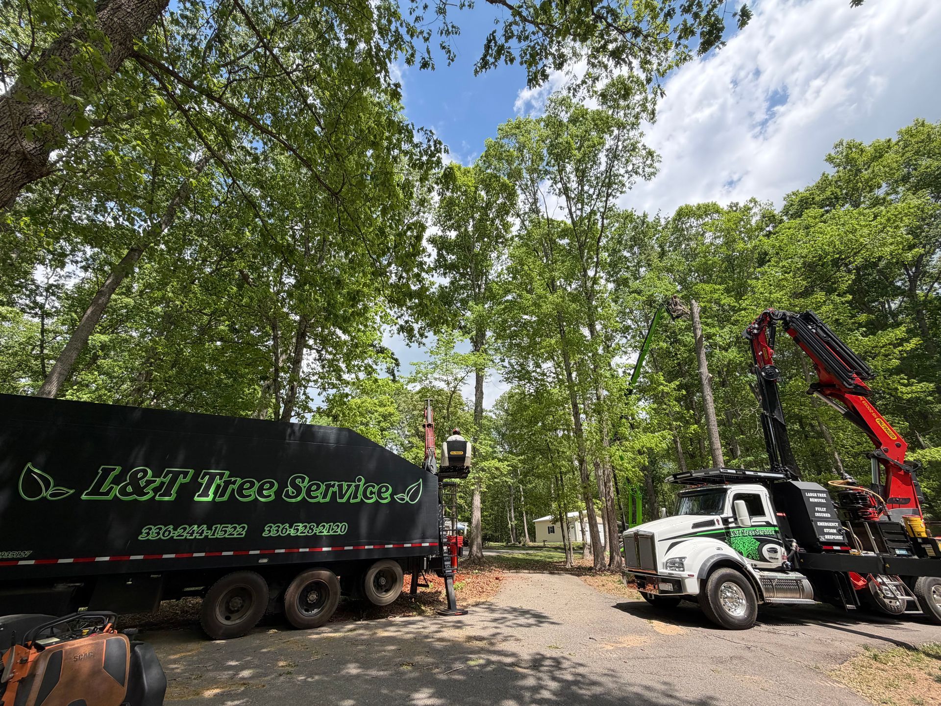 Tree-service truck and crane in a wooded area beside a black dump trailer with green lettering