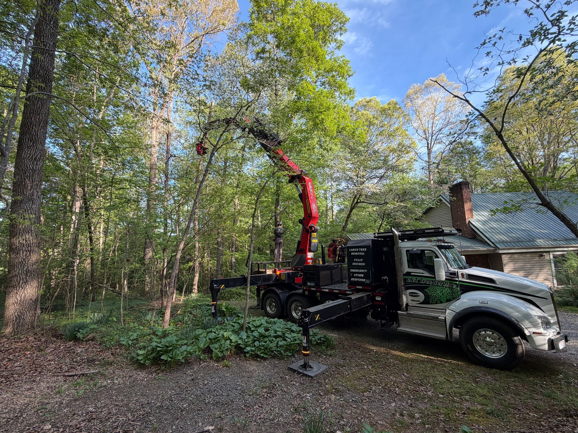 Tree service truck with red crane working beside a wooded house driveway