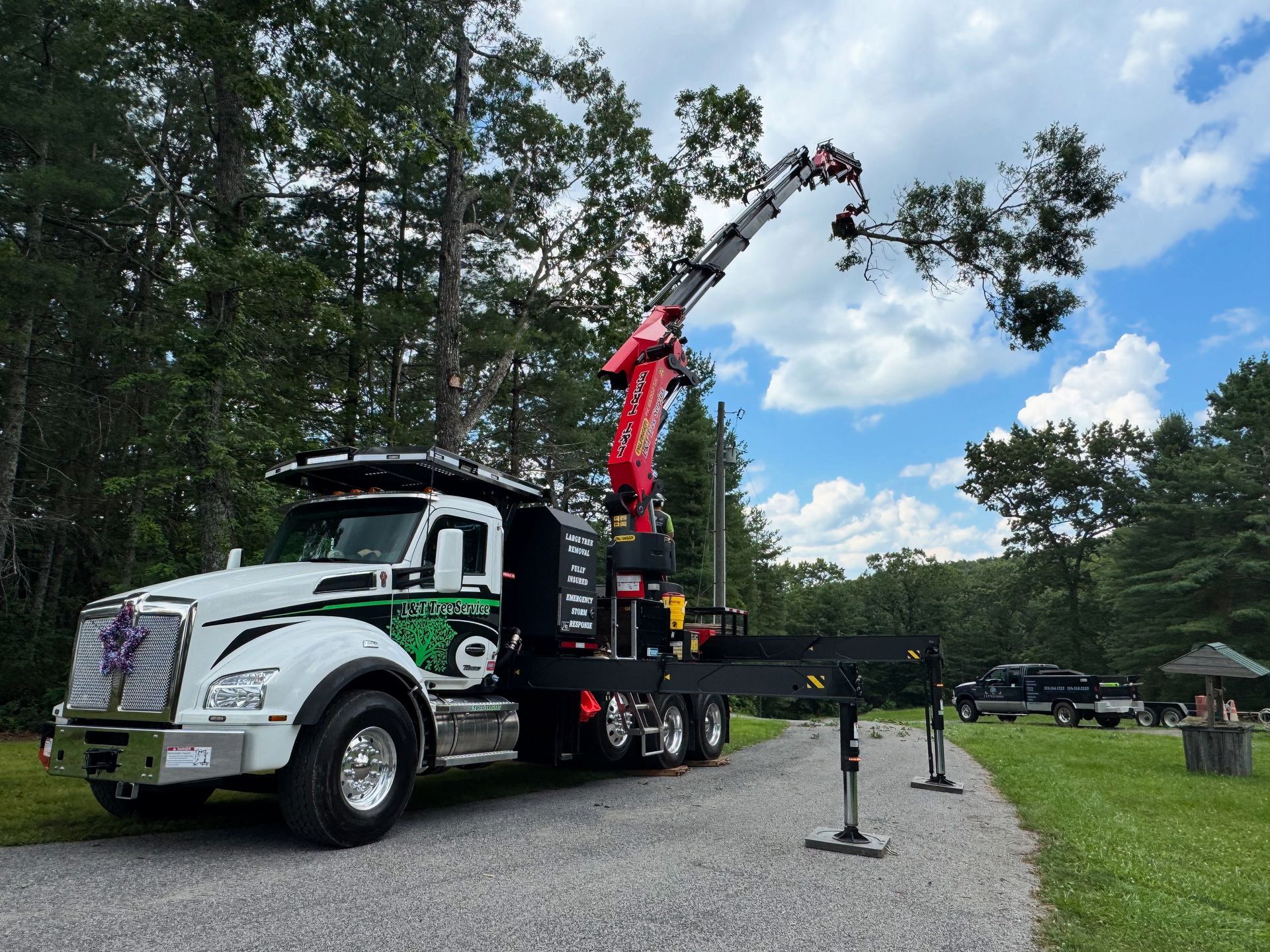 Tree service truck with crane trimming branches in a park setting.