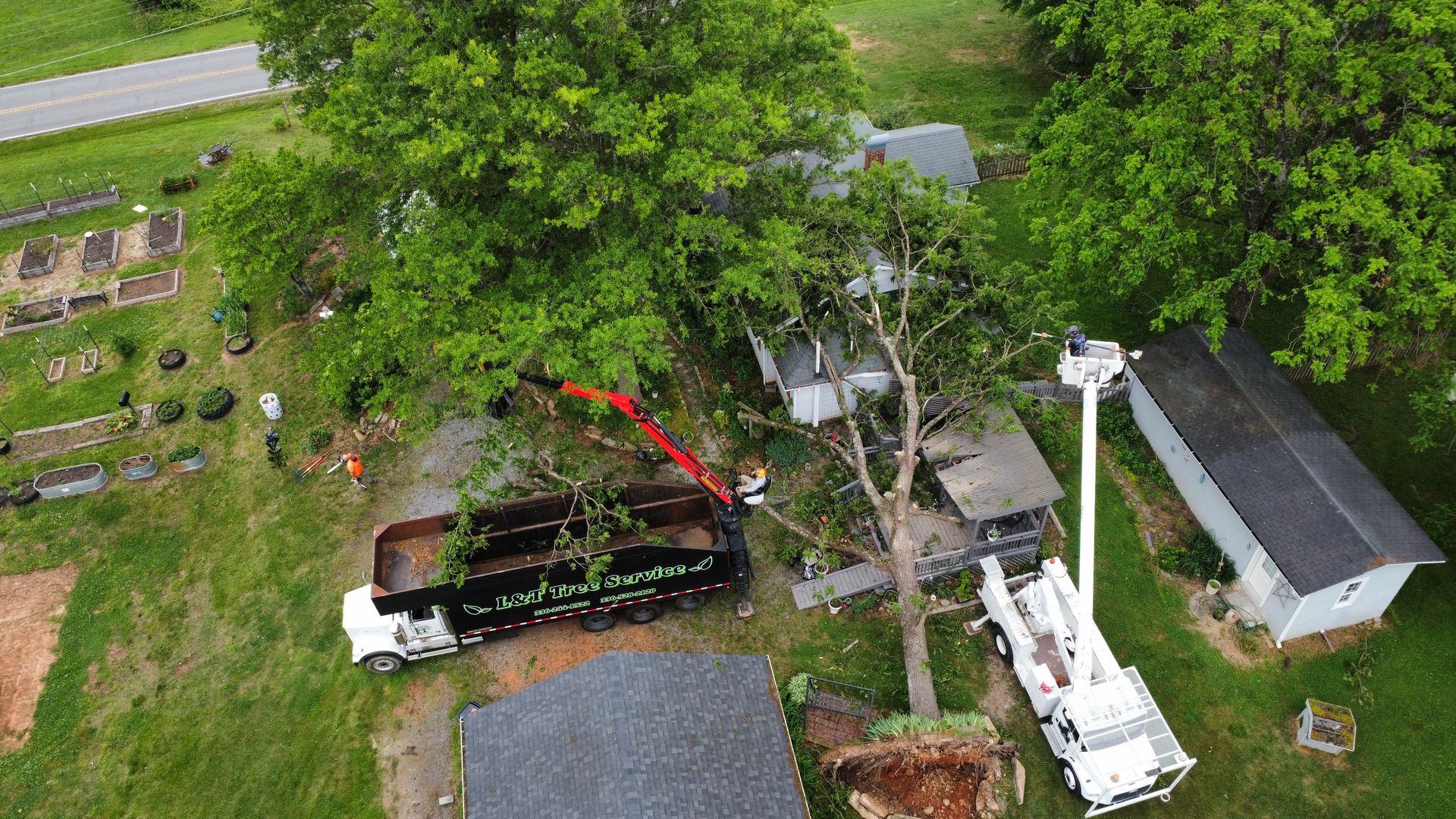 Tree removal in progress: Truck, lift, and workers near a house; green trees, blue sky.