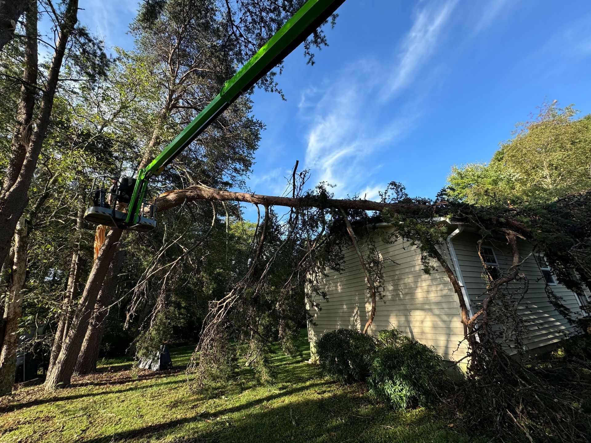 A tree limb being removed from the roof of a house by a green lift. Blue sky and grass are visible.