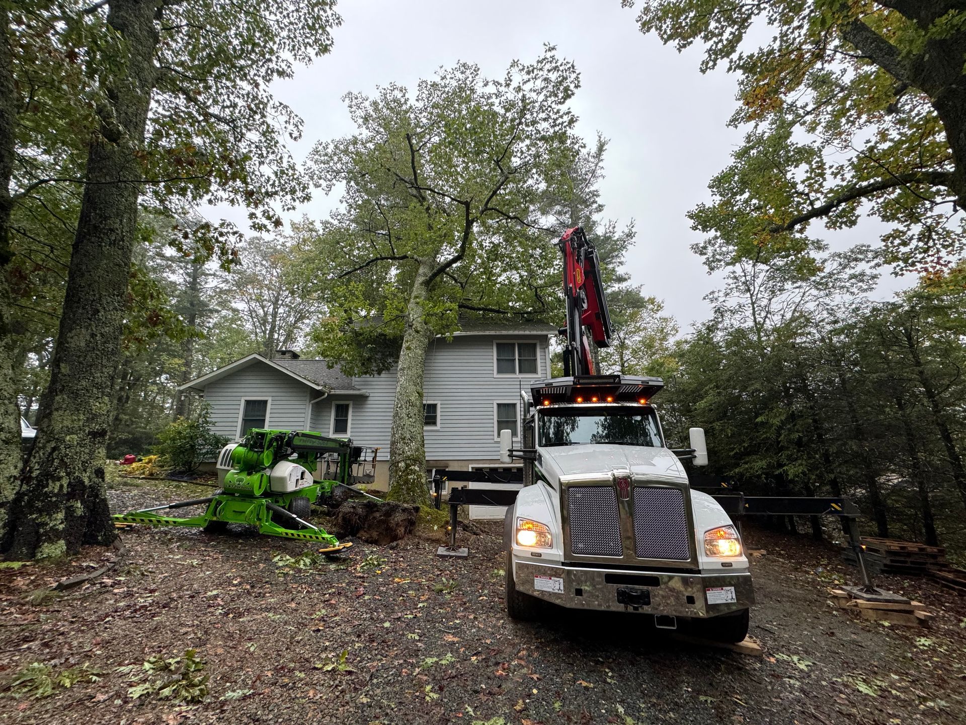 Tree removal truck near a two-story house, with green debris and a partially cut tree. Overcast day.