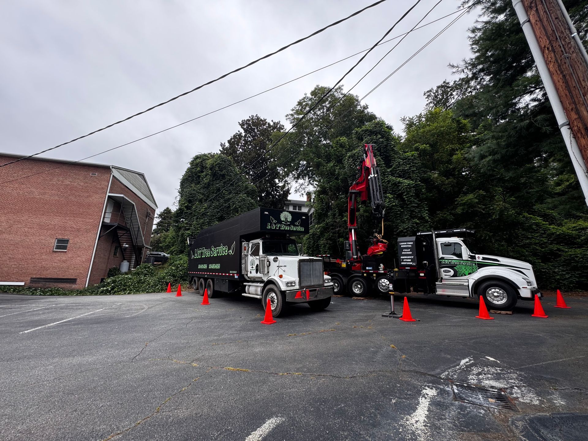 Two tree service trucks parked near a building and trees under an overcast sky; orange traffic cones are set up.