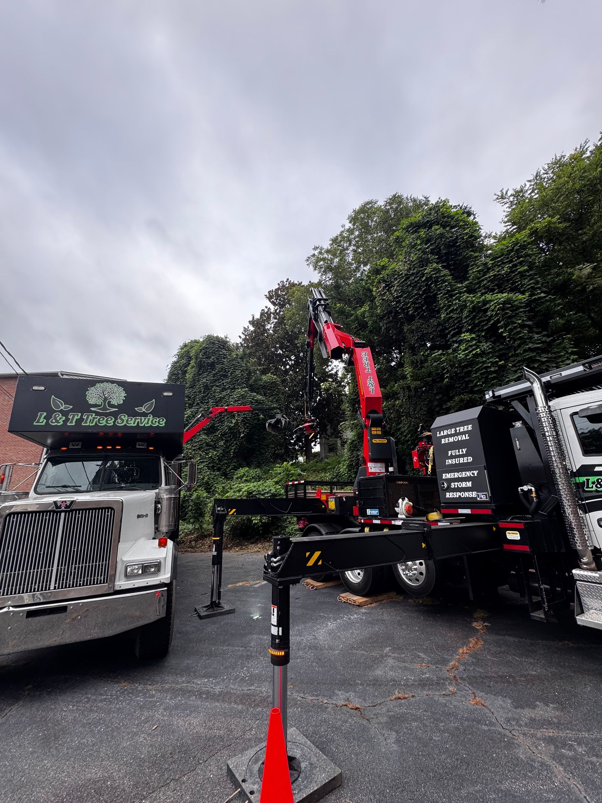 Crane truck with red boom extending towards greenery, parked near a building.