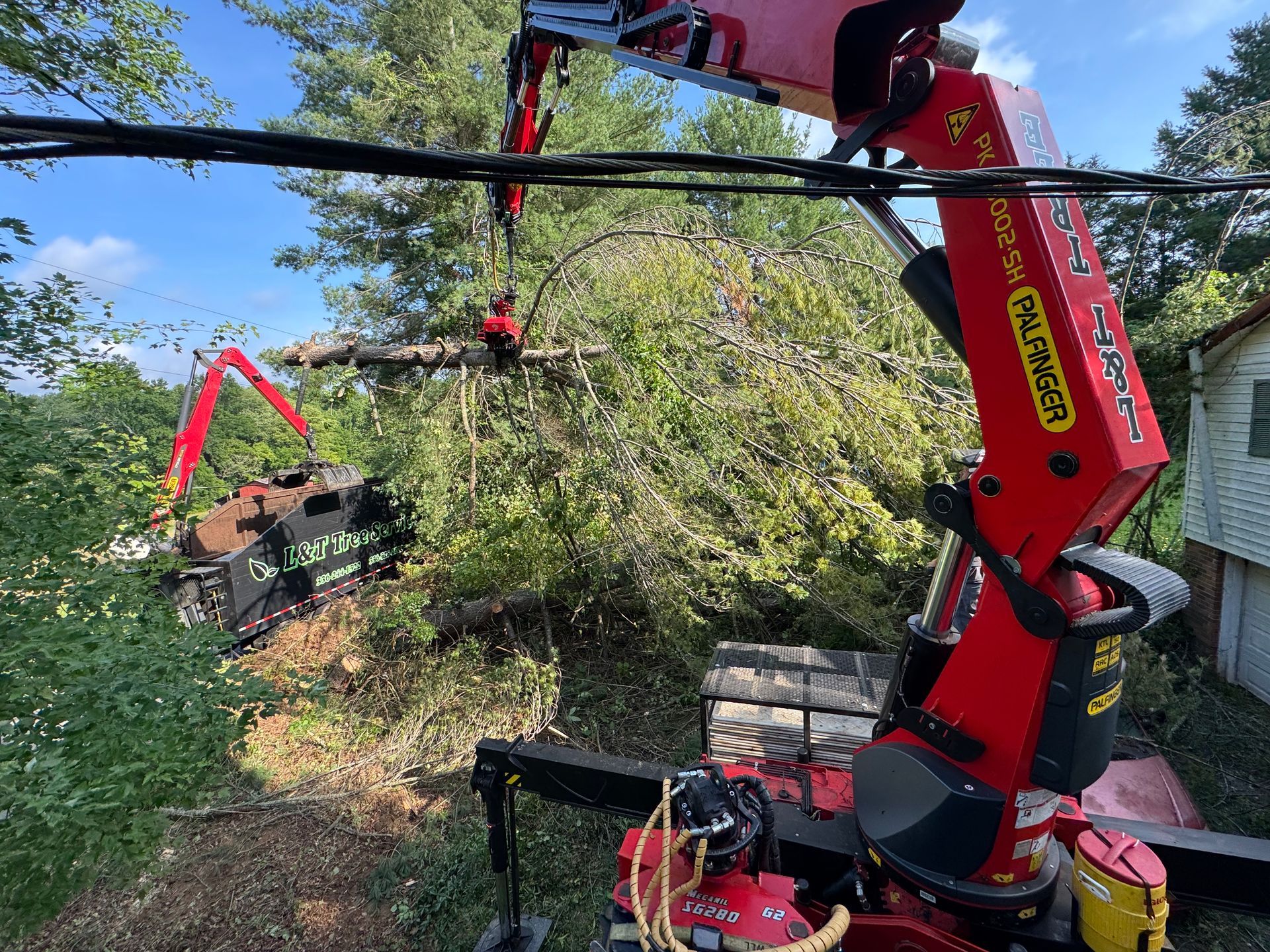 Red crane lifting a tree branch. Crane is next to a building and greenery.