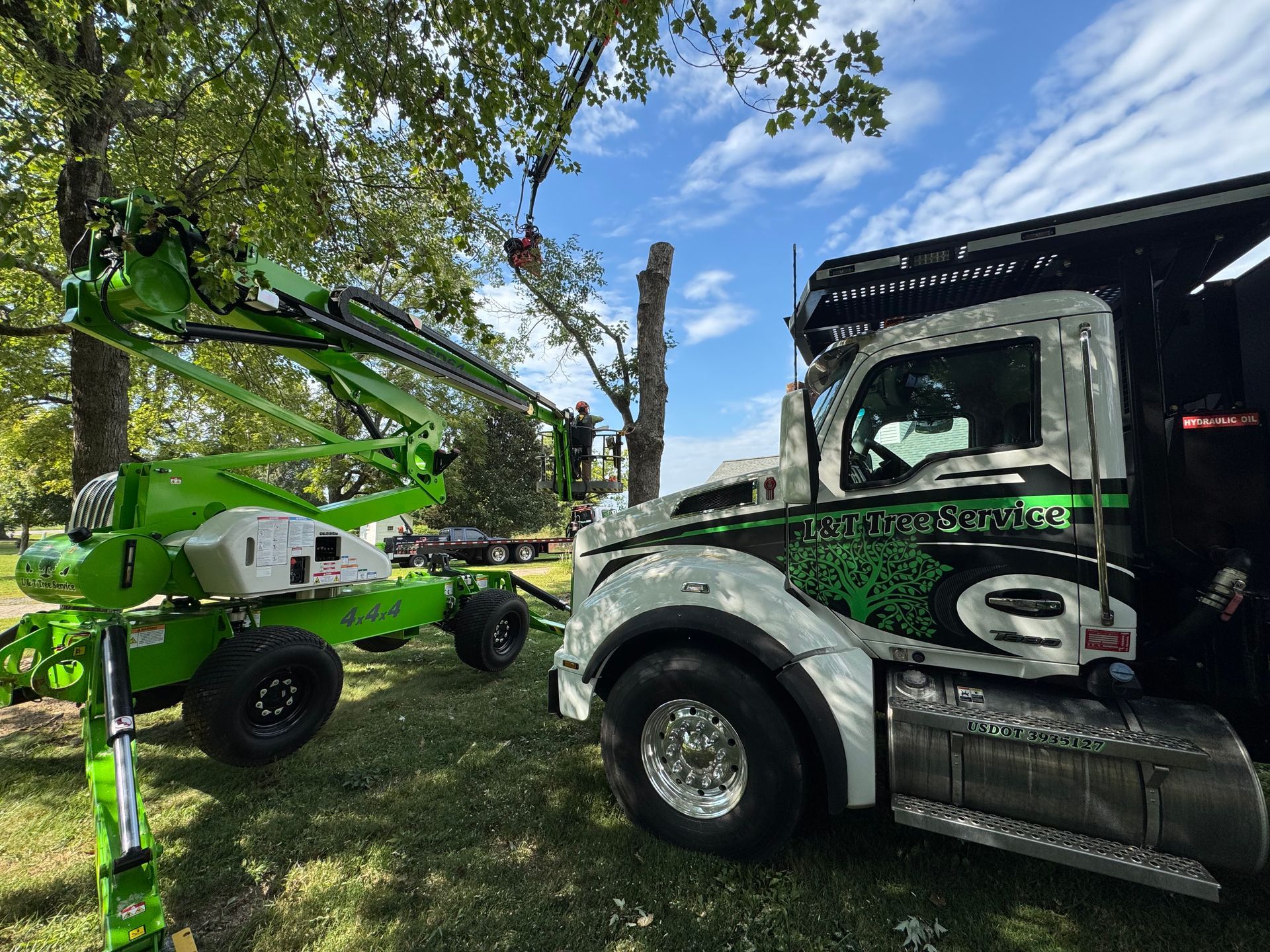 A green tree removal truck with a boom lift is removing a tree. Blue sky background.