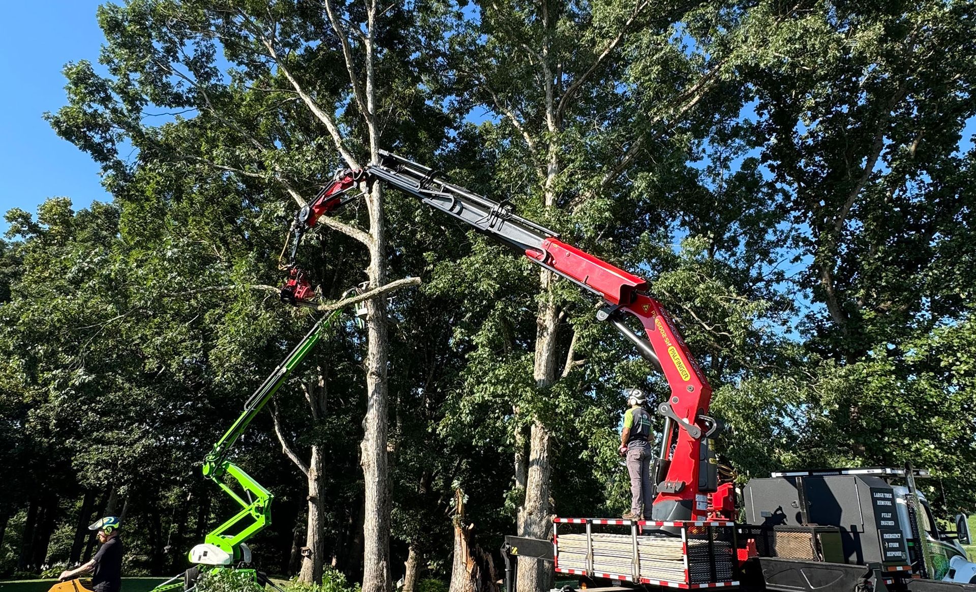 L & T Tree Service