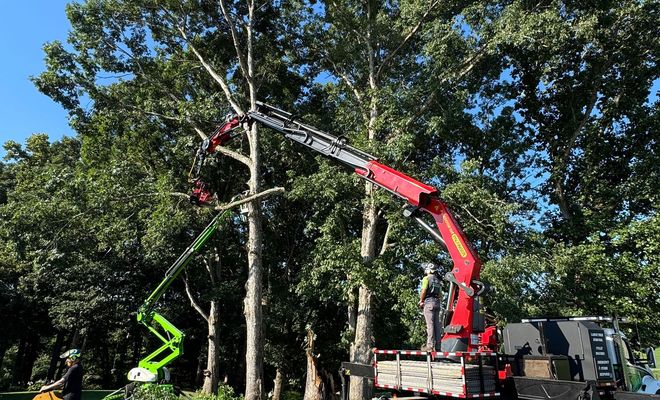 L & T Tree Service