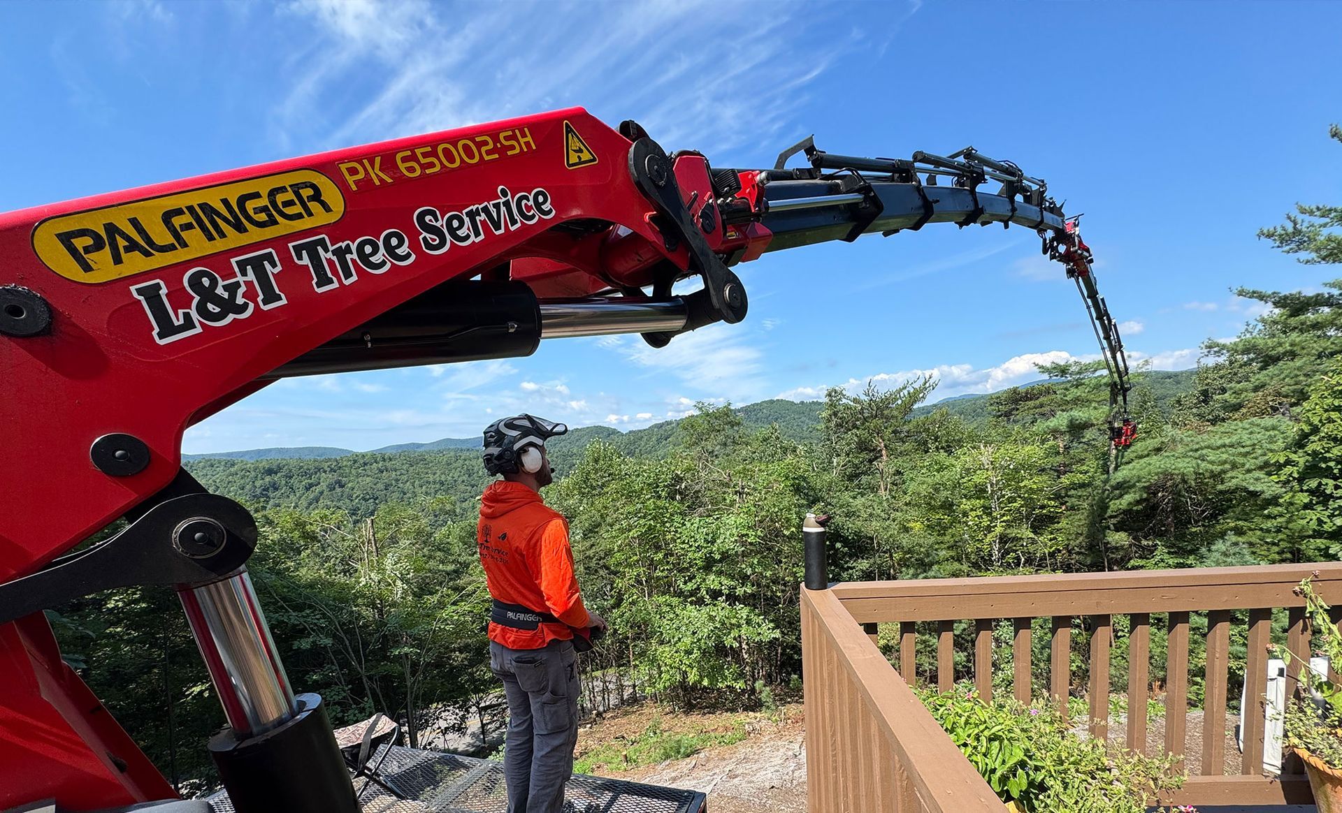 L & T Tree Service