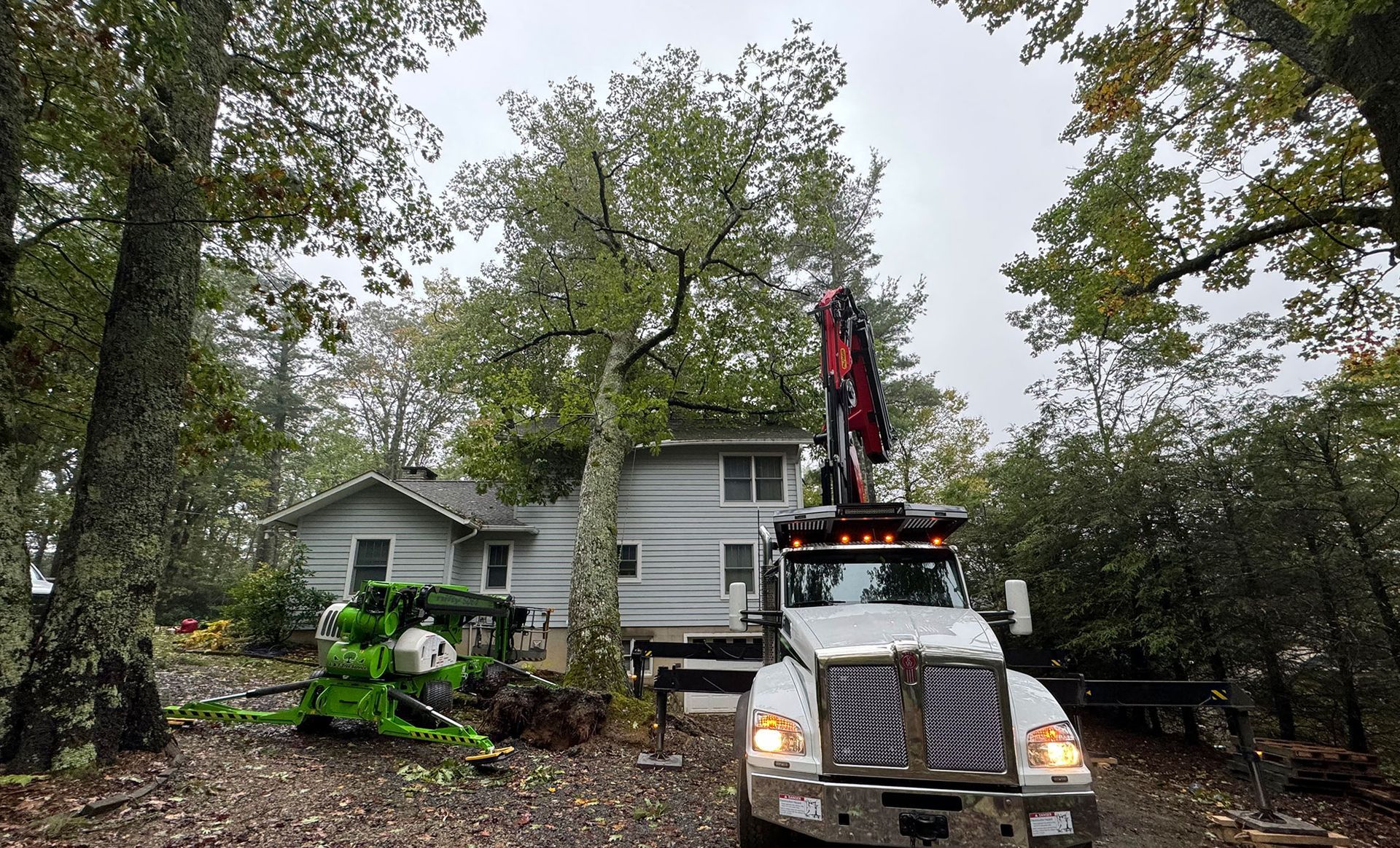 L & T Tree Service